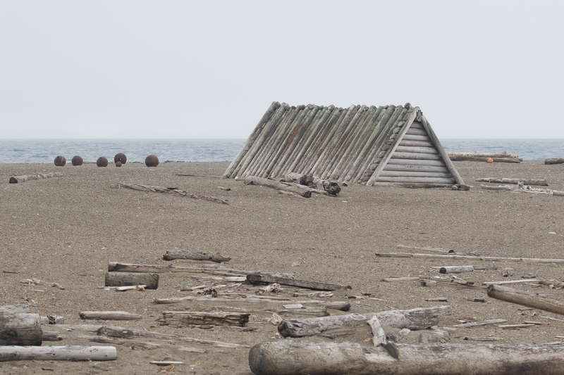 Walvisjagers nederzetting
